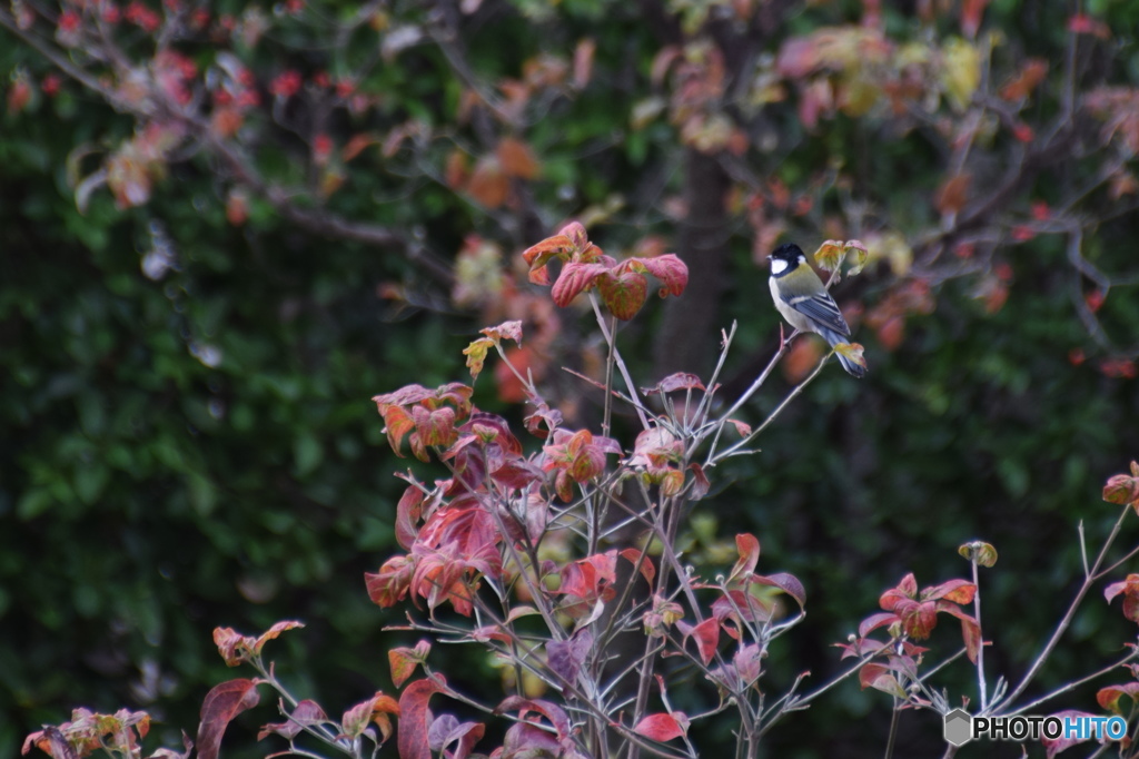 朝の出来事ー１