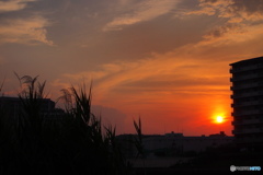 隅田川の夕日