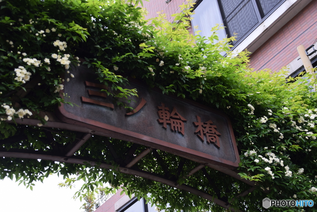 三ノ輪散策ー⑤