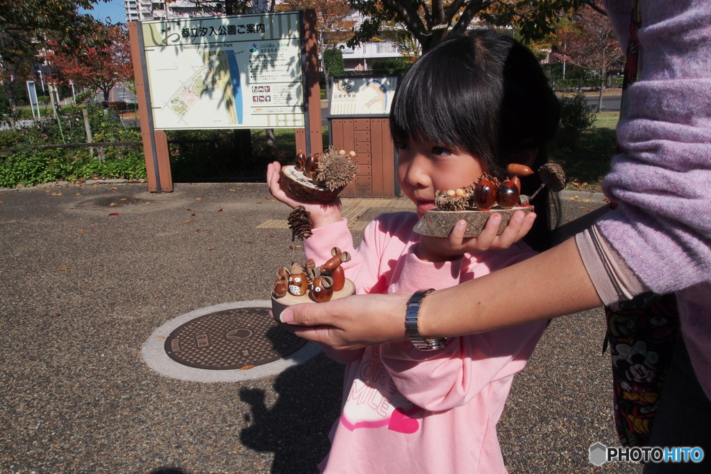 汐入公園「ドングリ祭り」－Ⅳ