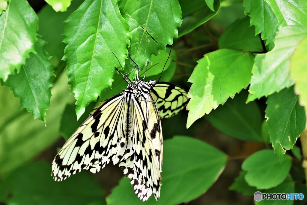 2023生物園＝Ⅱ～ⅳ