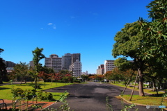 台風一過。