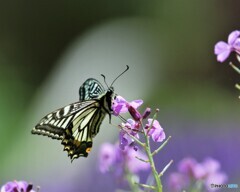 春光の中で、、、ⅴ