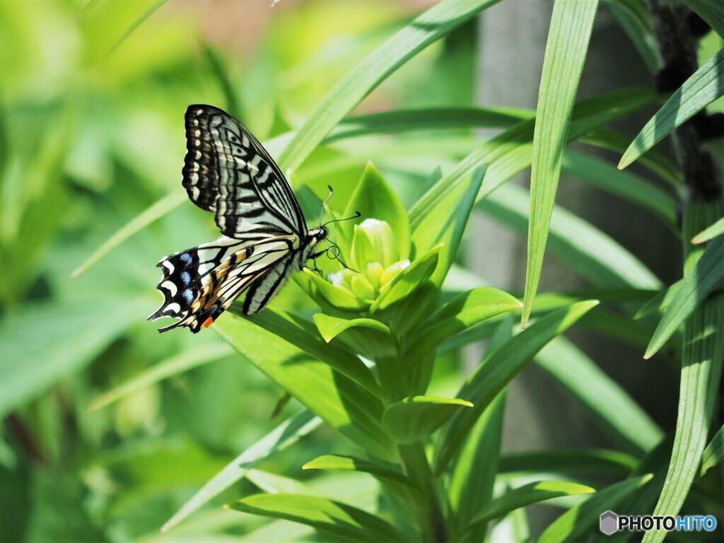 雨にも負けず！！