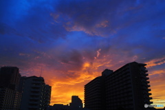 昨夕の西の空。