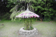 館山ー５