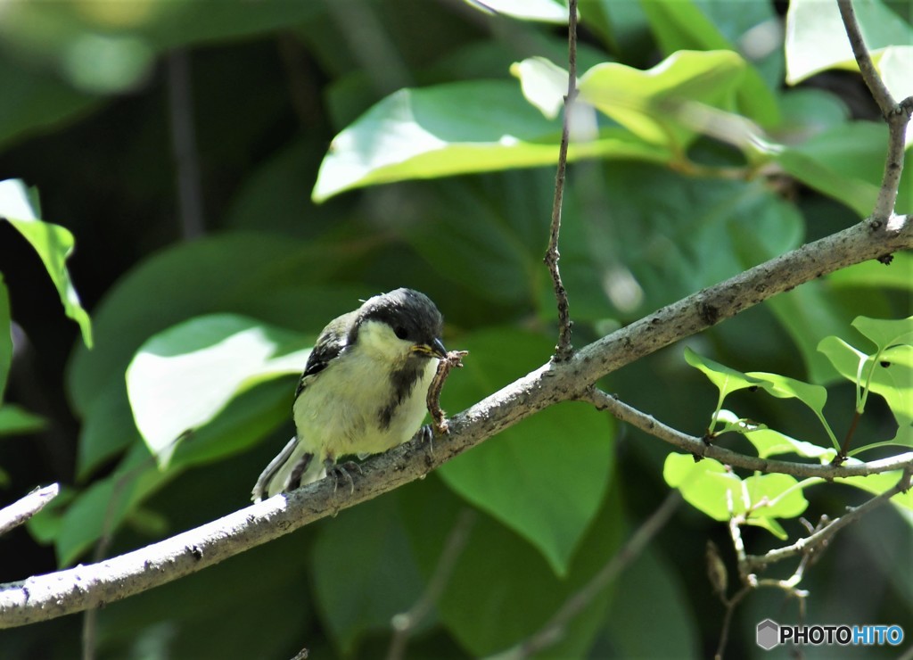 ママに貰ったよ～、、、！！