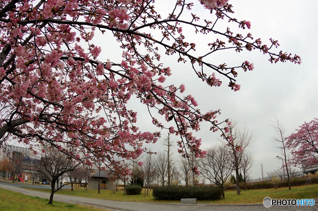 5年前の雨上がり～ⅰ