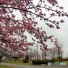 5年前の雨上がり～ⅰ