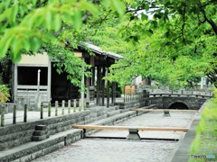 曳舟川親水公園～①