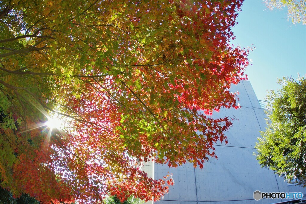 グラデーションにキラリ