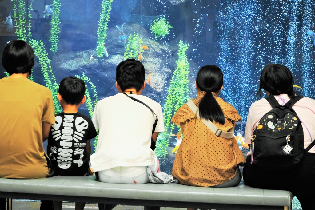 試し撮りの生物園～ⅳ