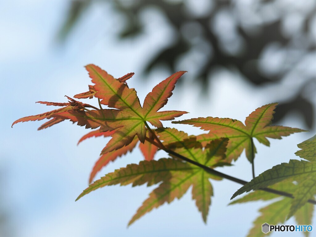 秋色始まる