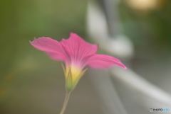 輝く心
