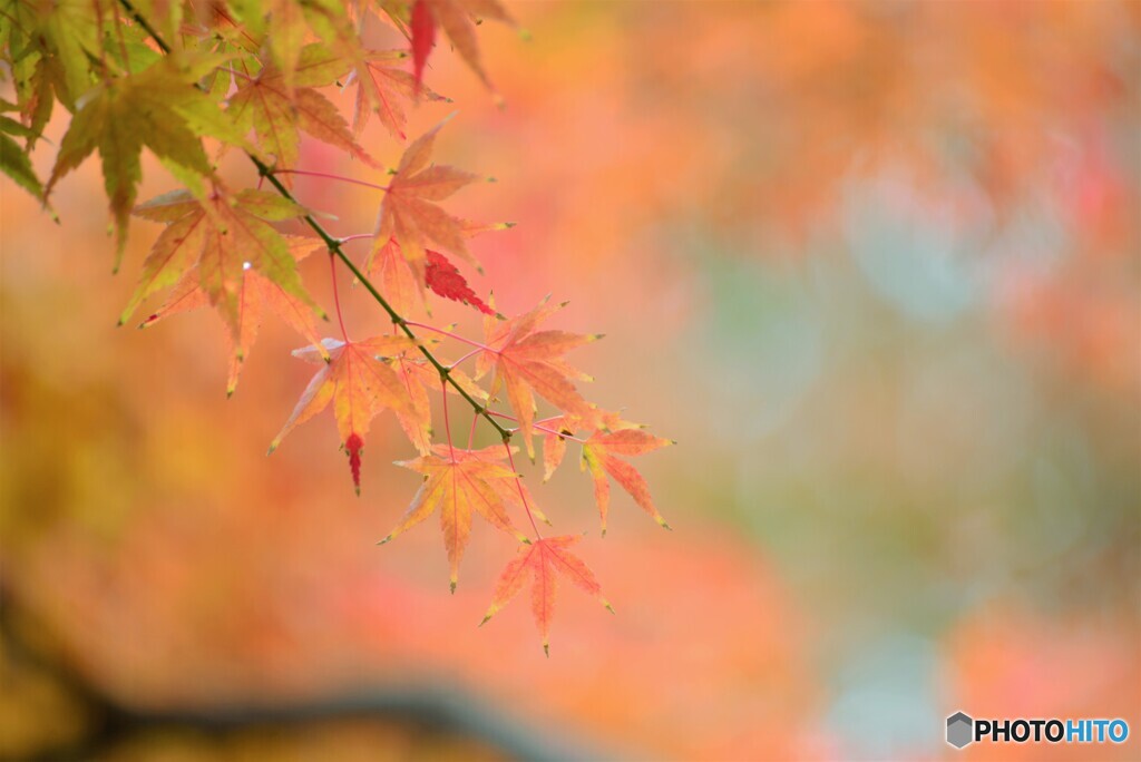 冬の感謝～⑤