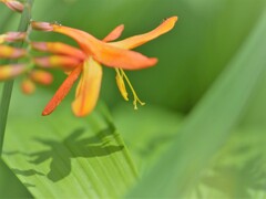 知性