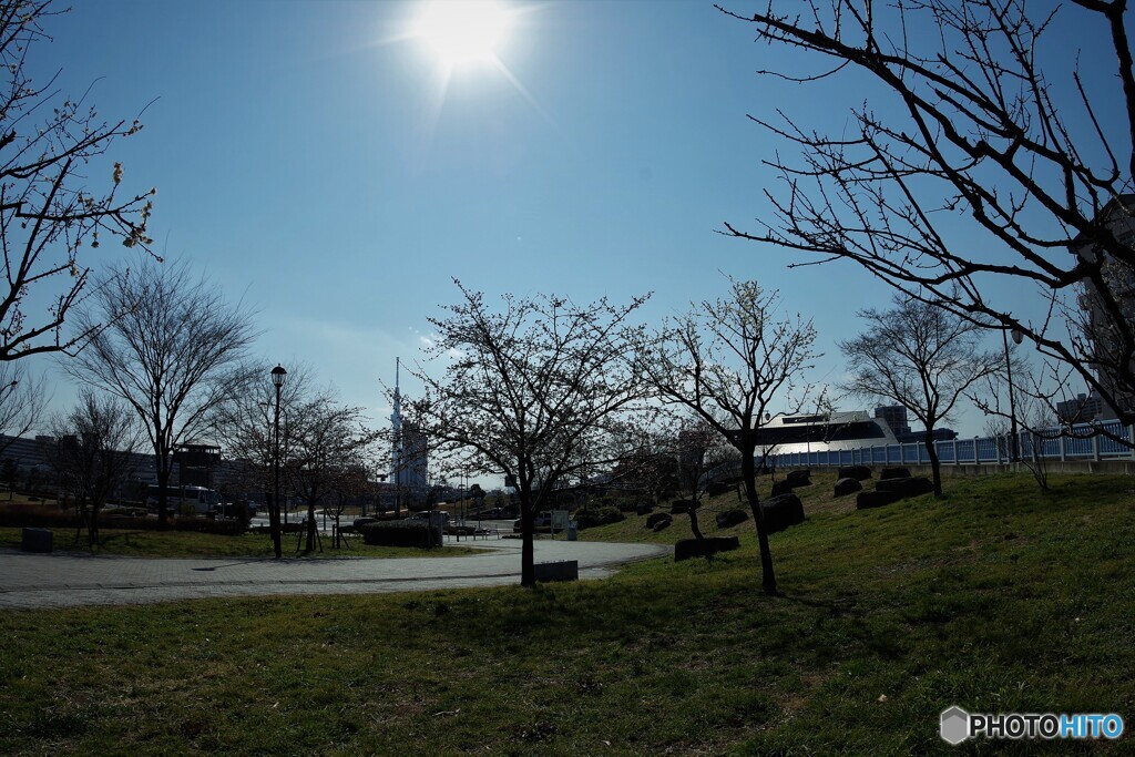 7年前の汐入公園