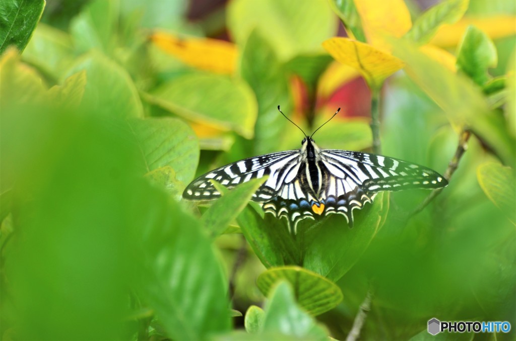 朝の佇み、、、！！