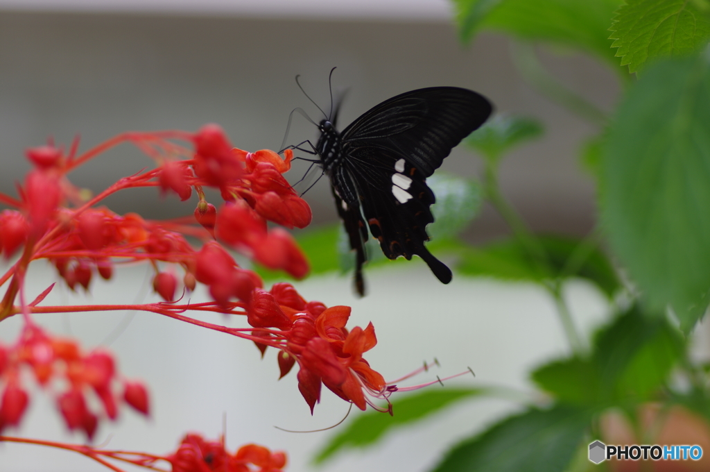 生物園ー15