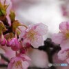 ５年前の雨上がり