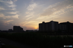 過日の隅田川