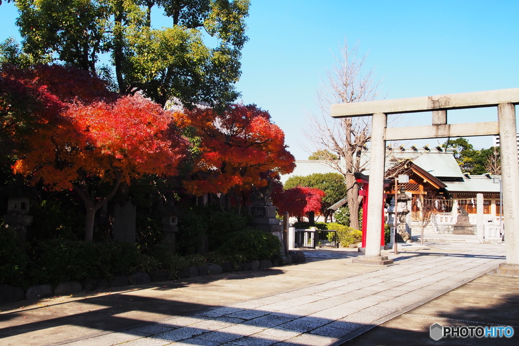 石浜神社ー⑤