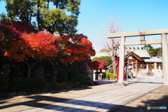 石浜神社ー⑤