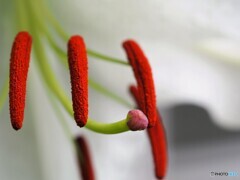 明けぬ梅雨空に～①