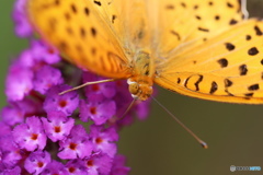 近寄りすぎだよ～