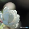 思いやり～ⅱ