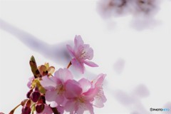 昨年同月のお蔵の中～③