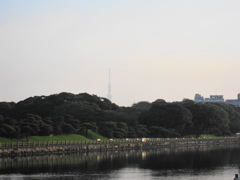 浜離宮―②