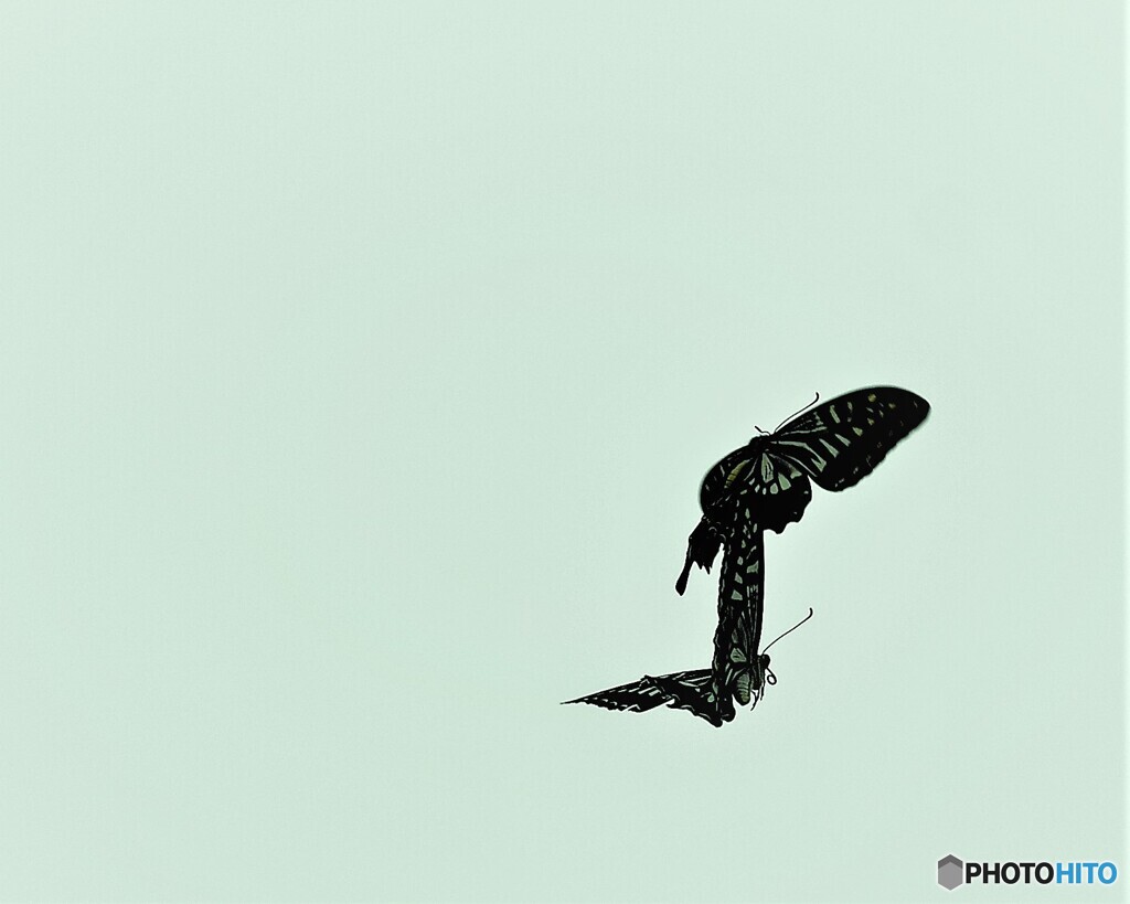 空での戯れ
