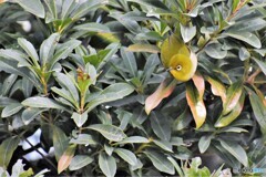 見つけられたか～