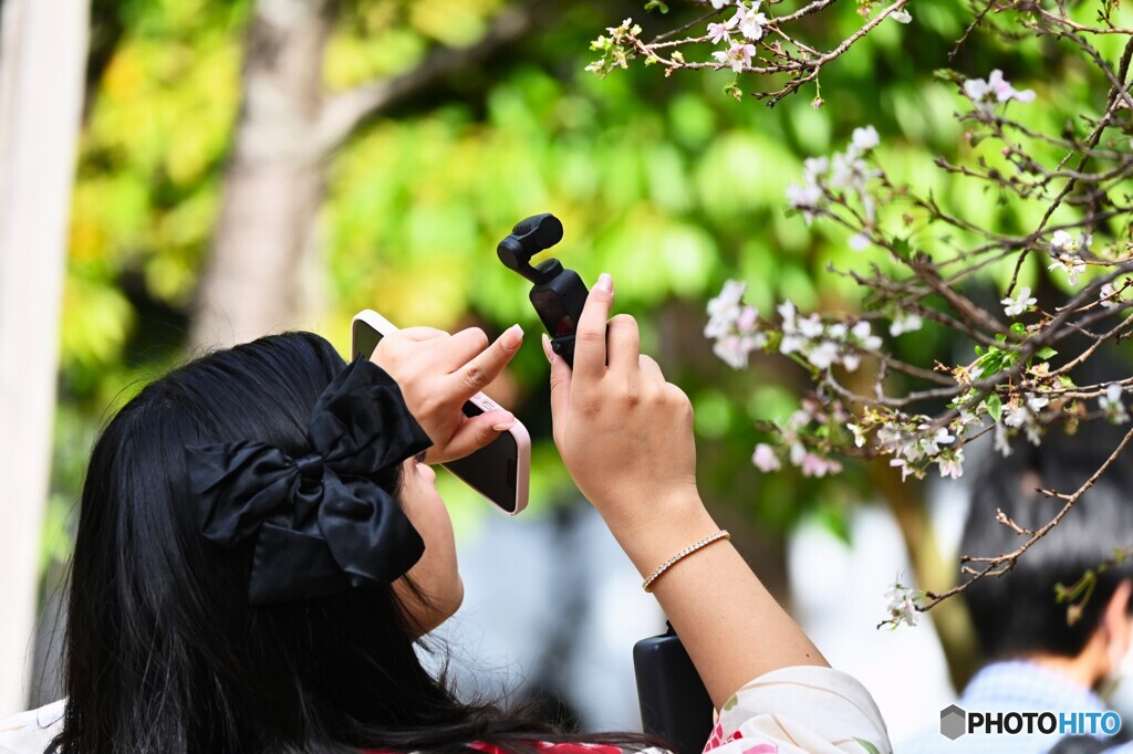 恩賜上野公園の十月桜～ⅳ