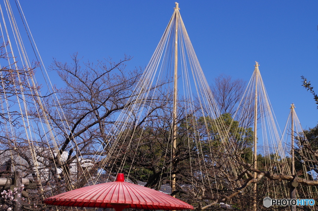 向島百花園ー２