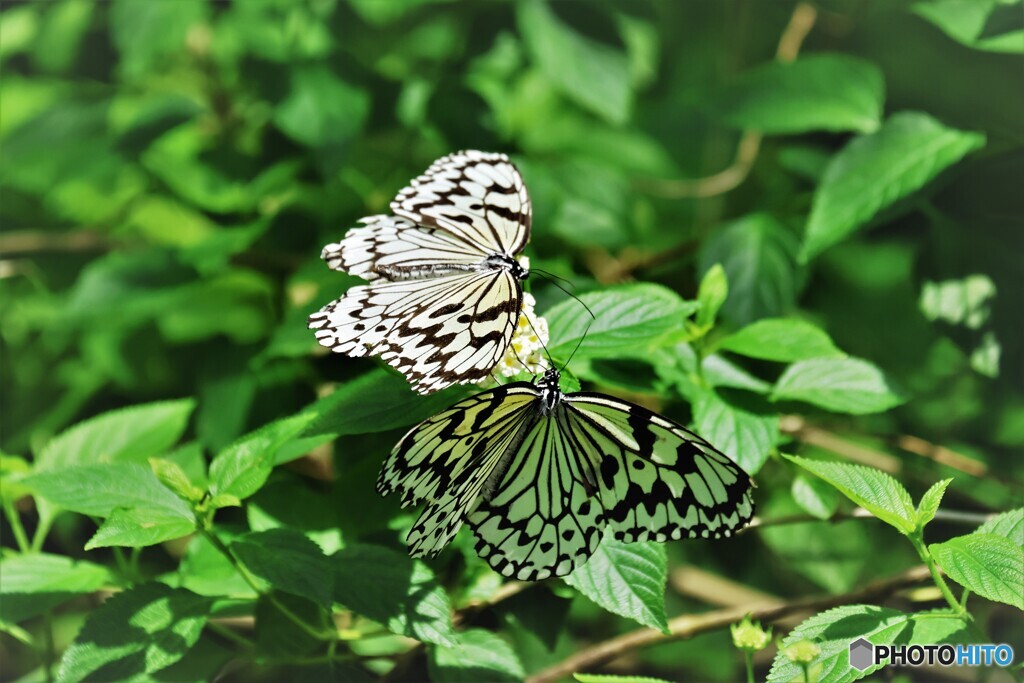 2023 生物園