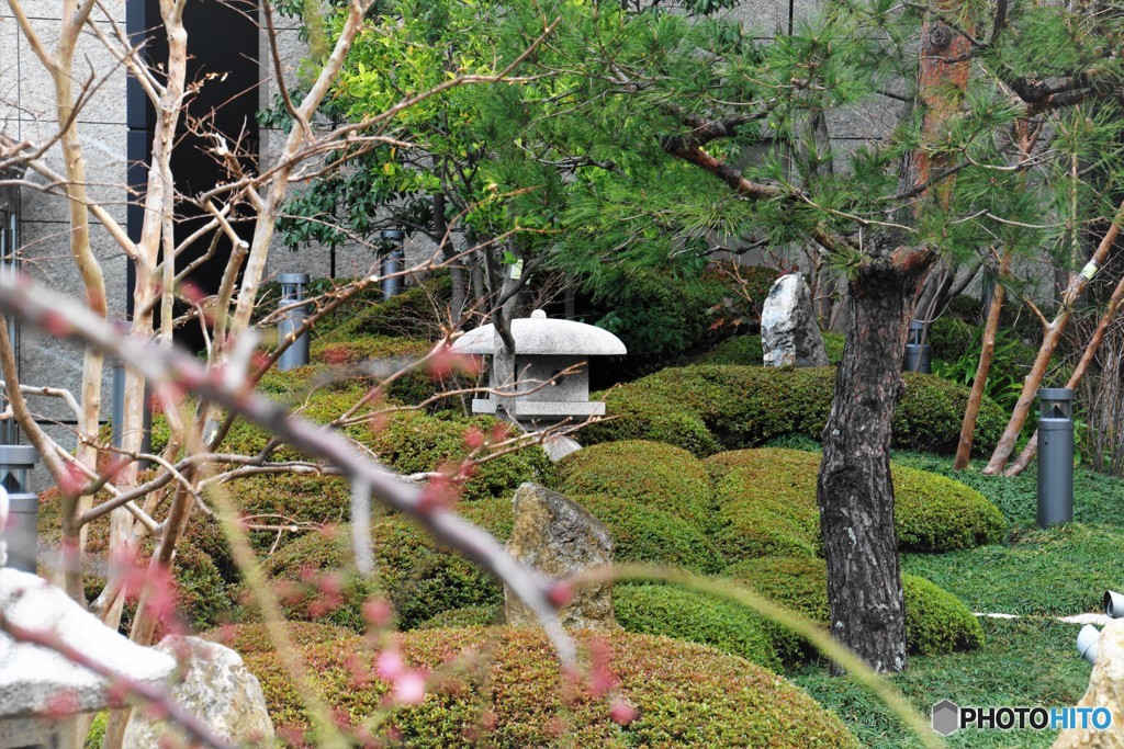 日本庭園