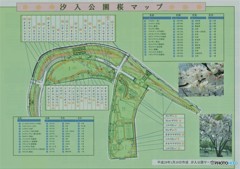 汐入公園、桜マップ
