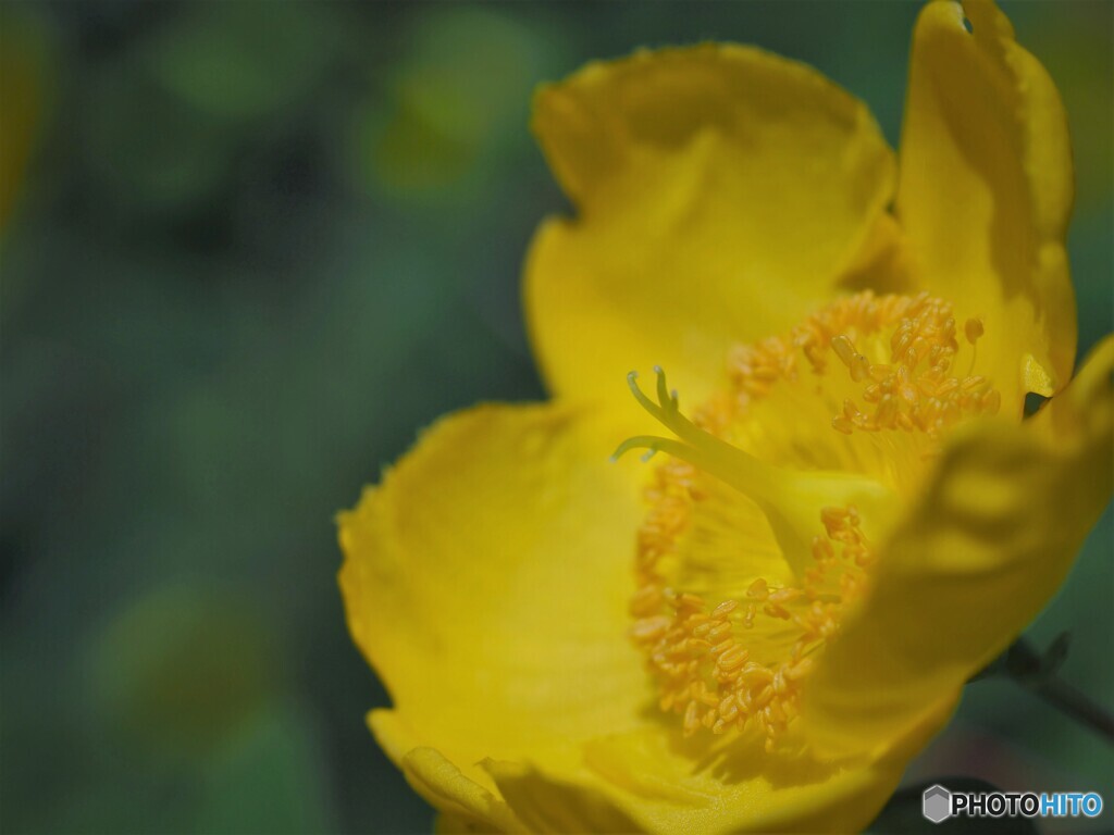 梅雨時の笑顔～ⅱ