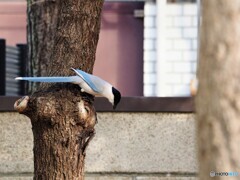 餌探し