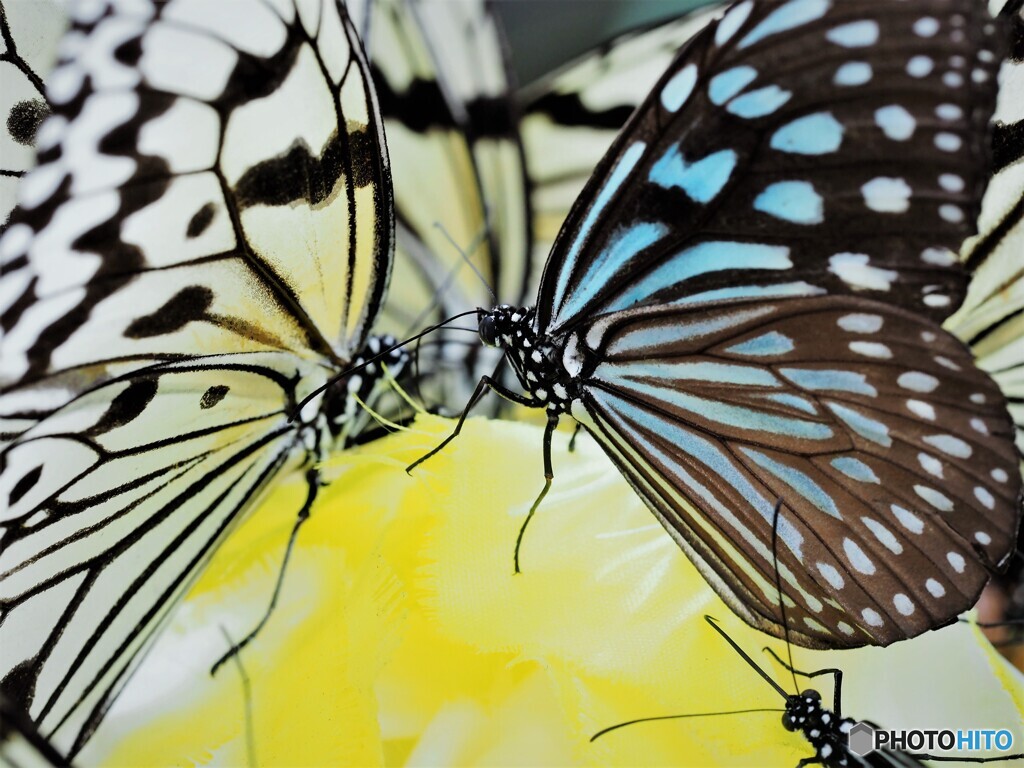 生物園２０２１～③