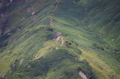 谷川岳に秋の気配ー４