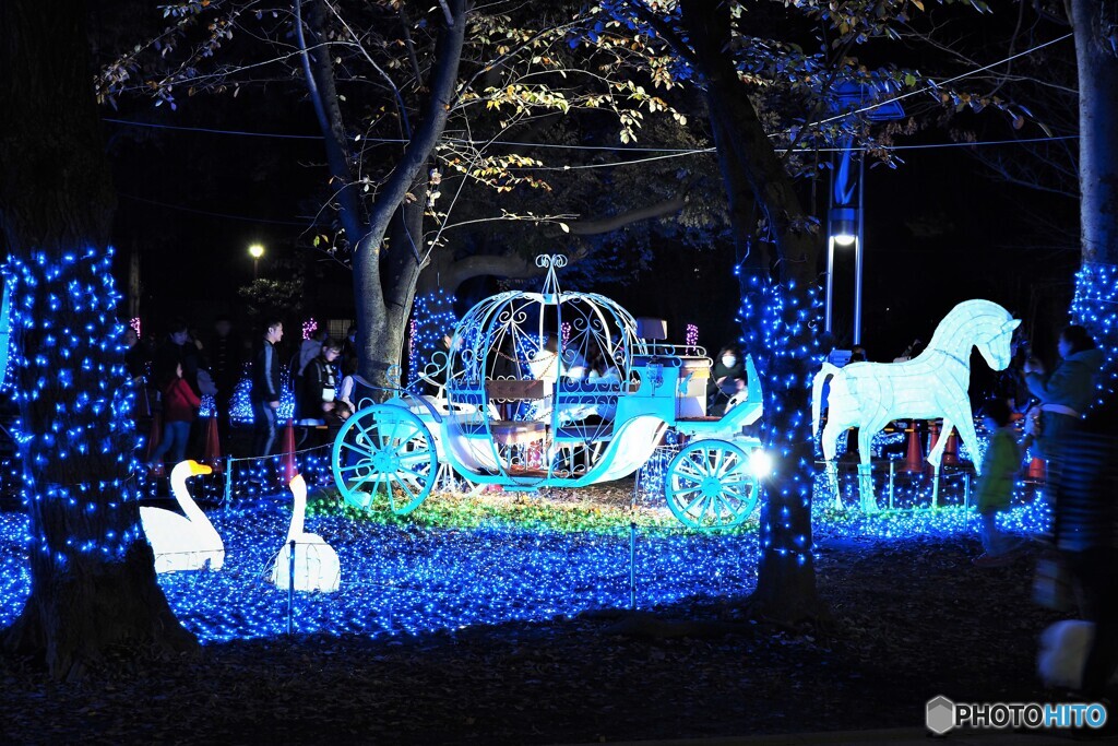 ー光の祭典２０１９－、、、ⅶ