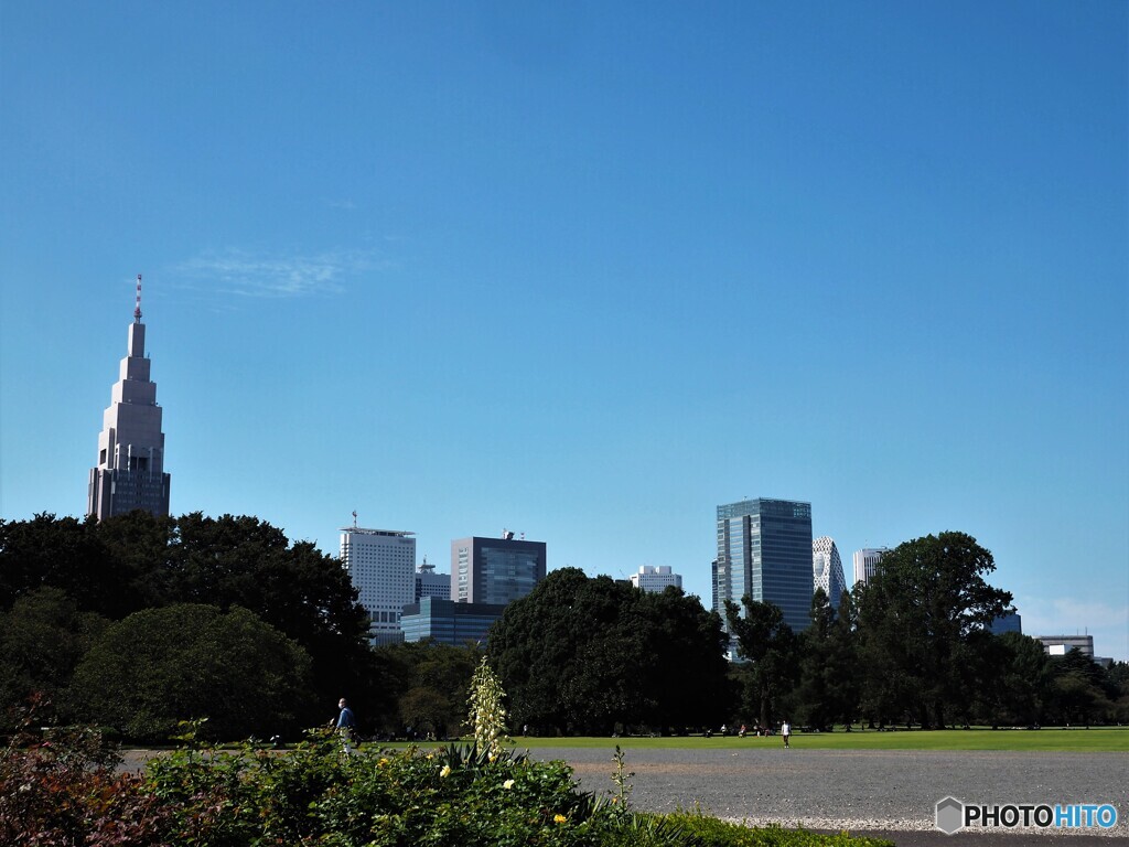 新宿御苑～ⅱ