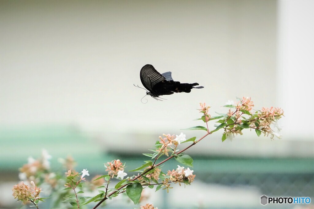 どれかな～？？
