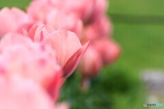 思いやり～ⅲ