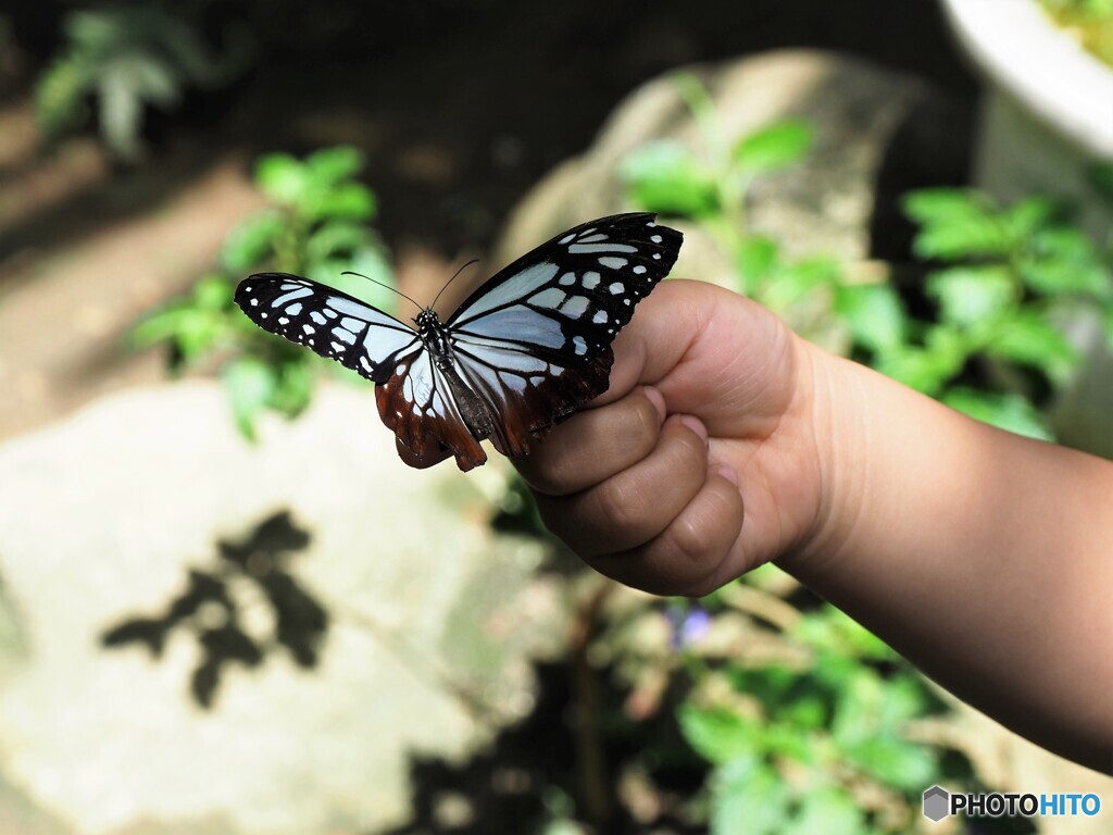 生物園２０２２～ⅹ