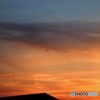 今夕の１４階展望～ⅱ