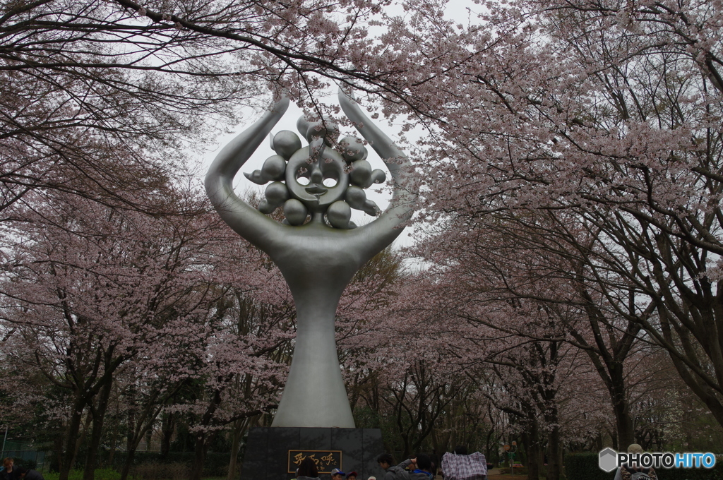 平和を呼ぶ